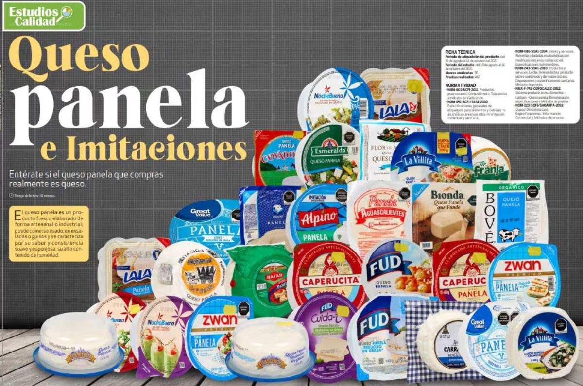 mejor queso panela