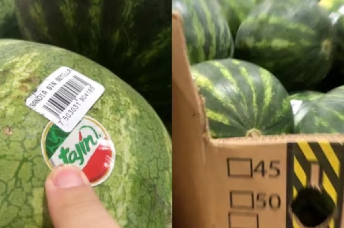 sandia tajin costco