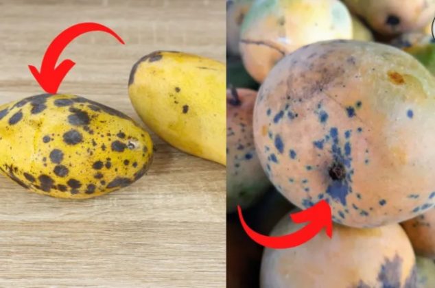 ¿Qué son las manchas negras de los mangos y qué pasa si se comen?