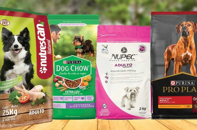 Las 7 marcas de croquetas para perro más nutritivas y que dan menor olor a heces, según Profeco