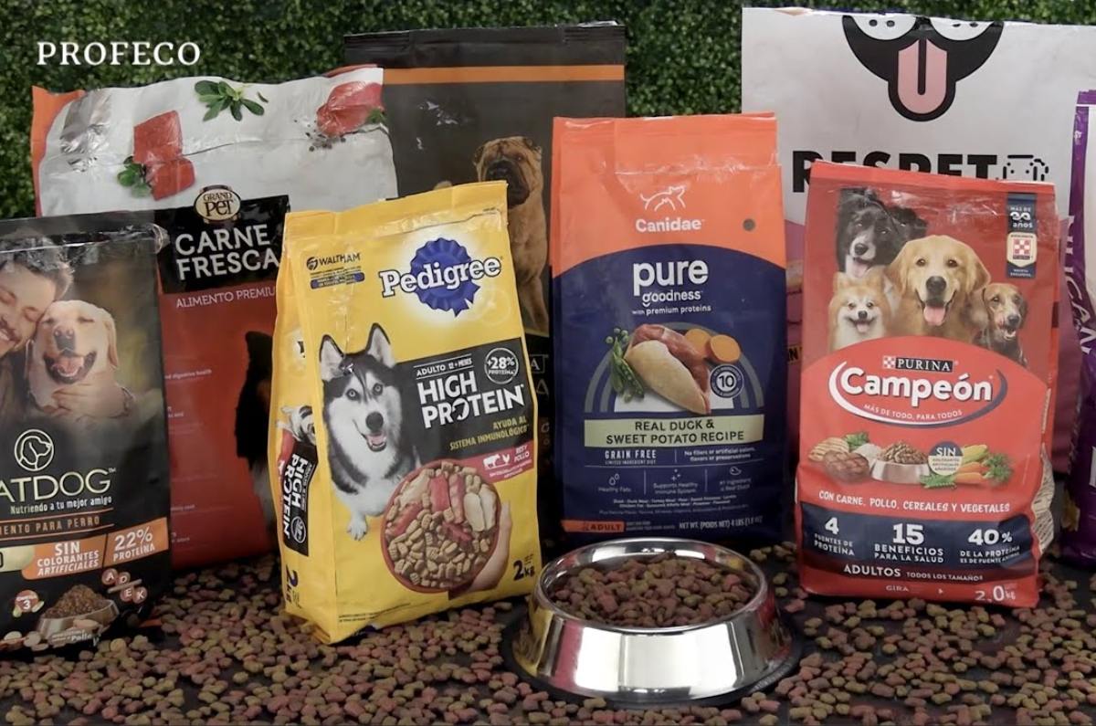marcas de croquetas para perro