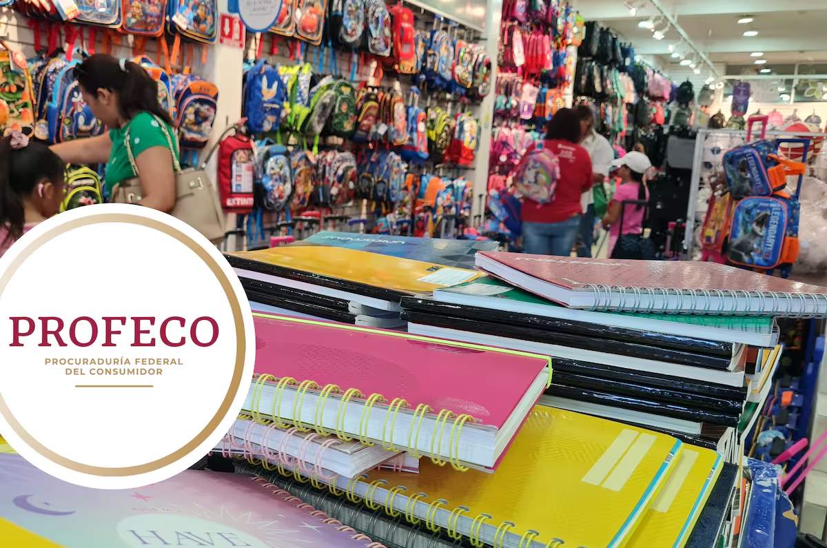 En cuadernos profesionales plastificados, con espiral, la marca KIP ofrece uno a 156 pesos con calidad Excelente y Scribe con “Muy buena” calidad se ofrece a 221 pesos.