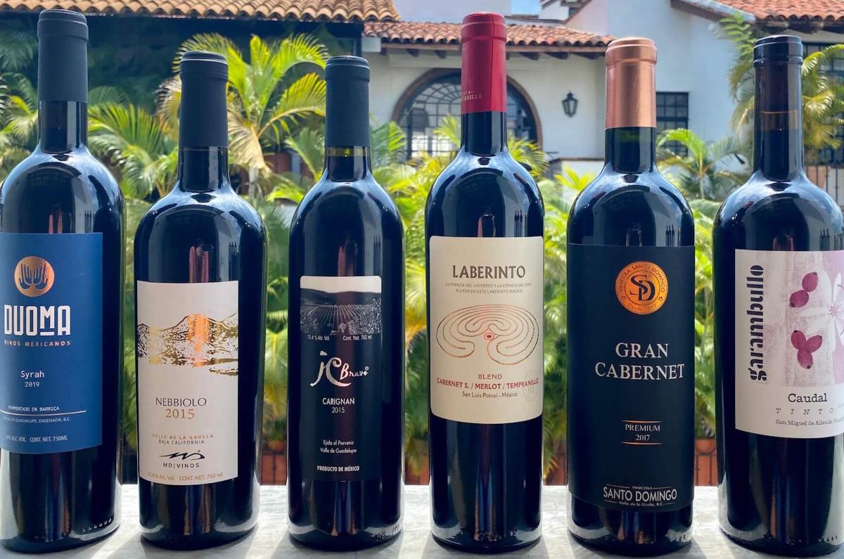 mejores vinos tintos mexicanos