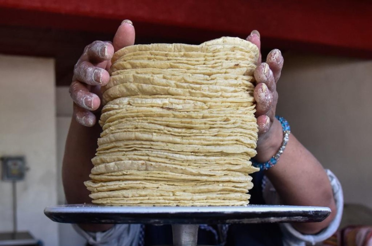 precio real de un kilo de tortillas