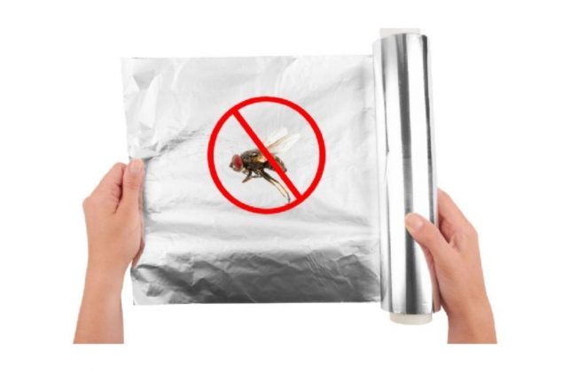 Cómo funciona el truco del papel aluminio para evitar que las moscas entren a las casas