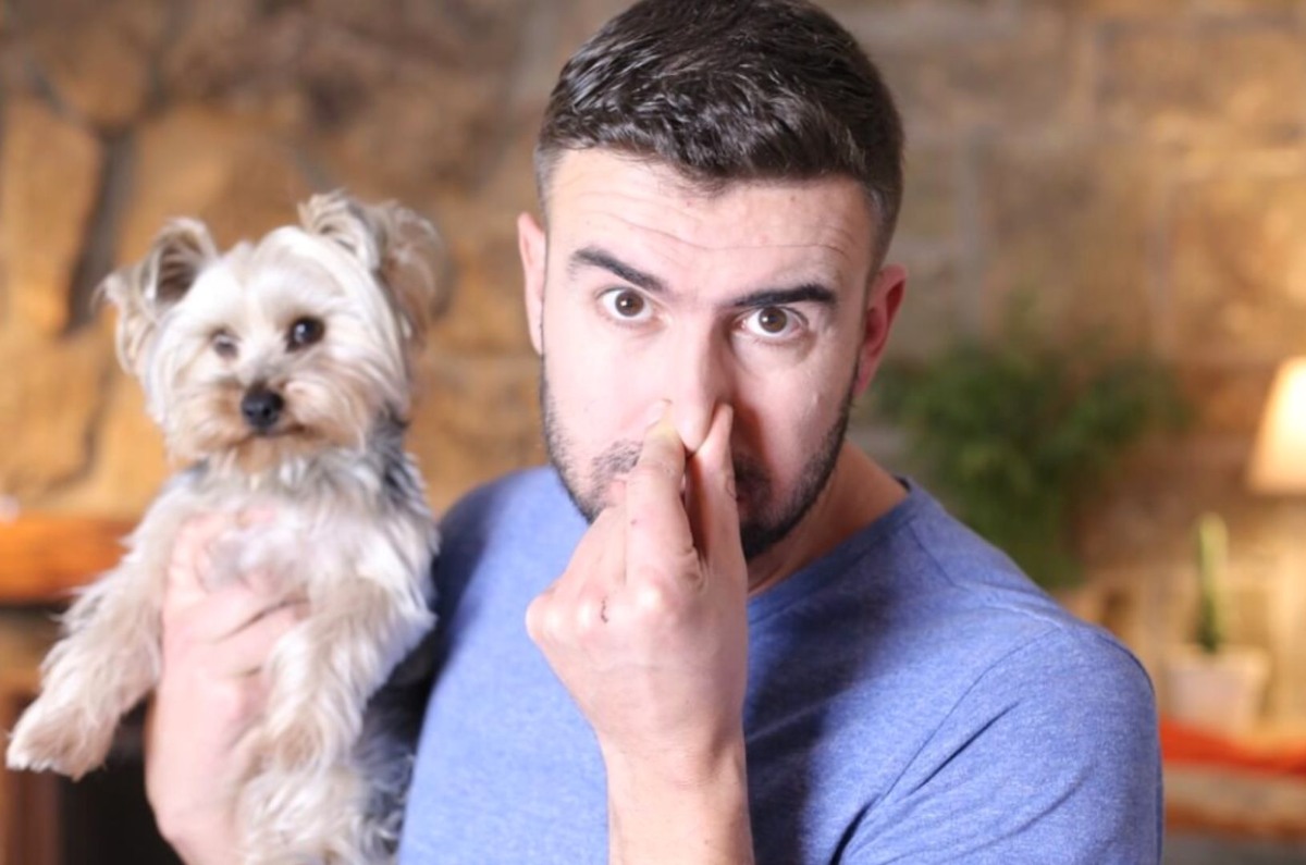 Cómo eliminar el olor a perro de tu casa