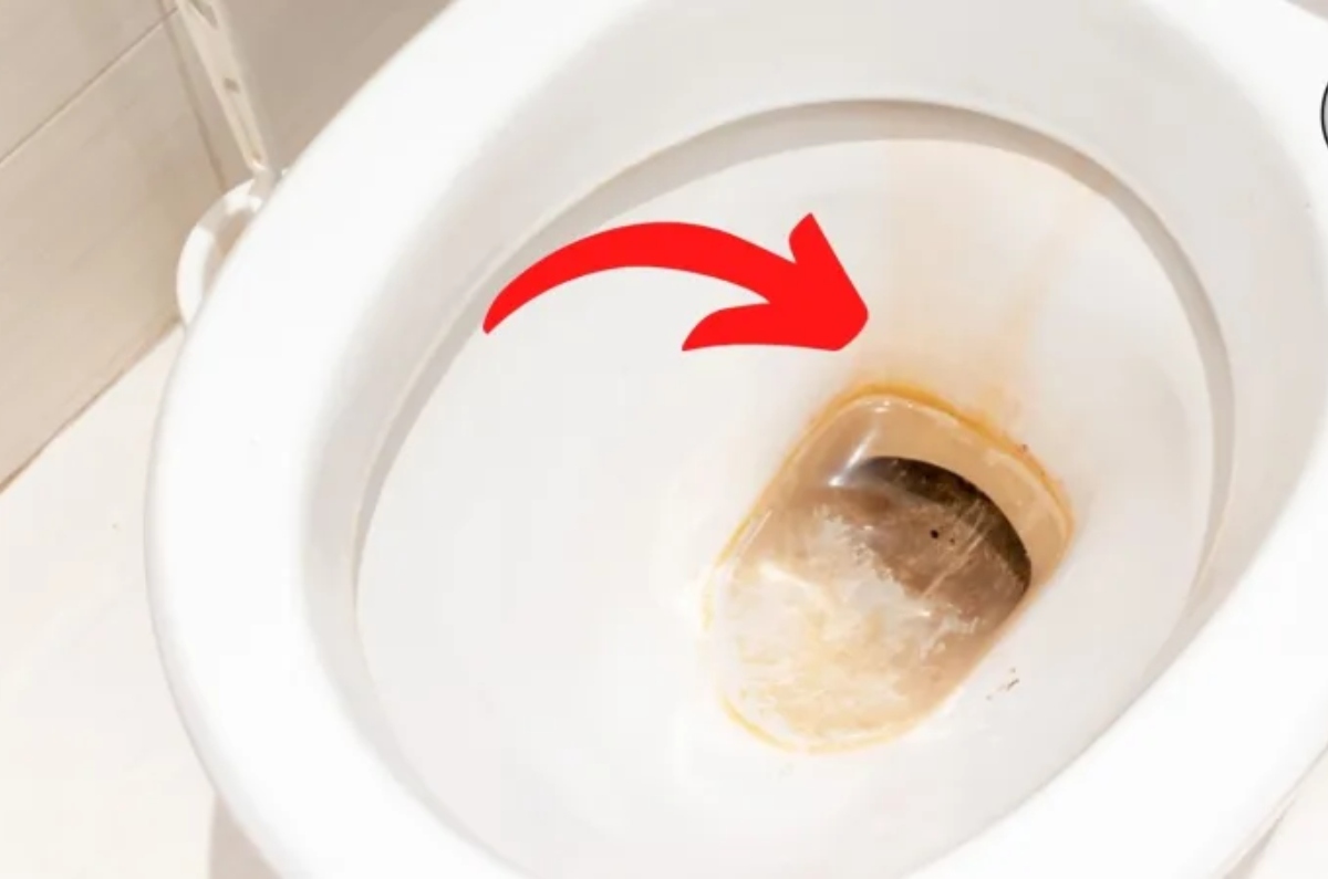Ni vinagre, ni bicarbonato: este es el truco desconocido para eliminar el  sarro del inodoro