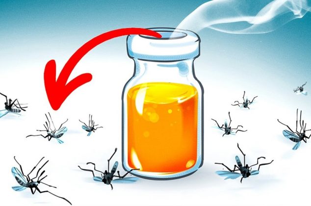 Así puedes evitar que tu cuarto se llene de mosquitos con solo 3 ingredientes