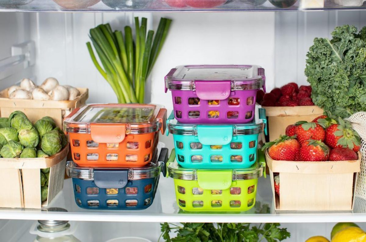 usos del refrigerador para eliminar plagas