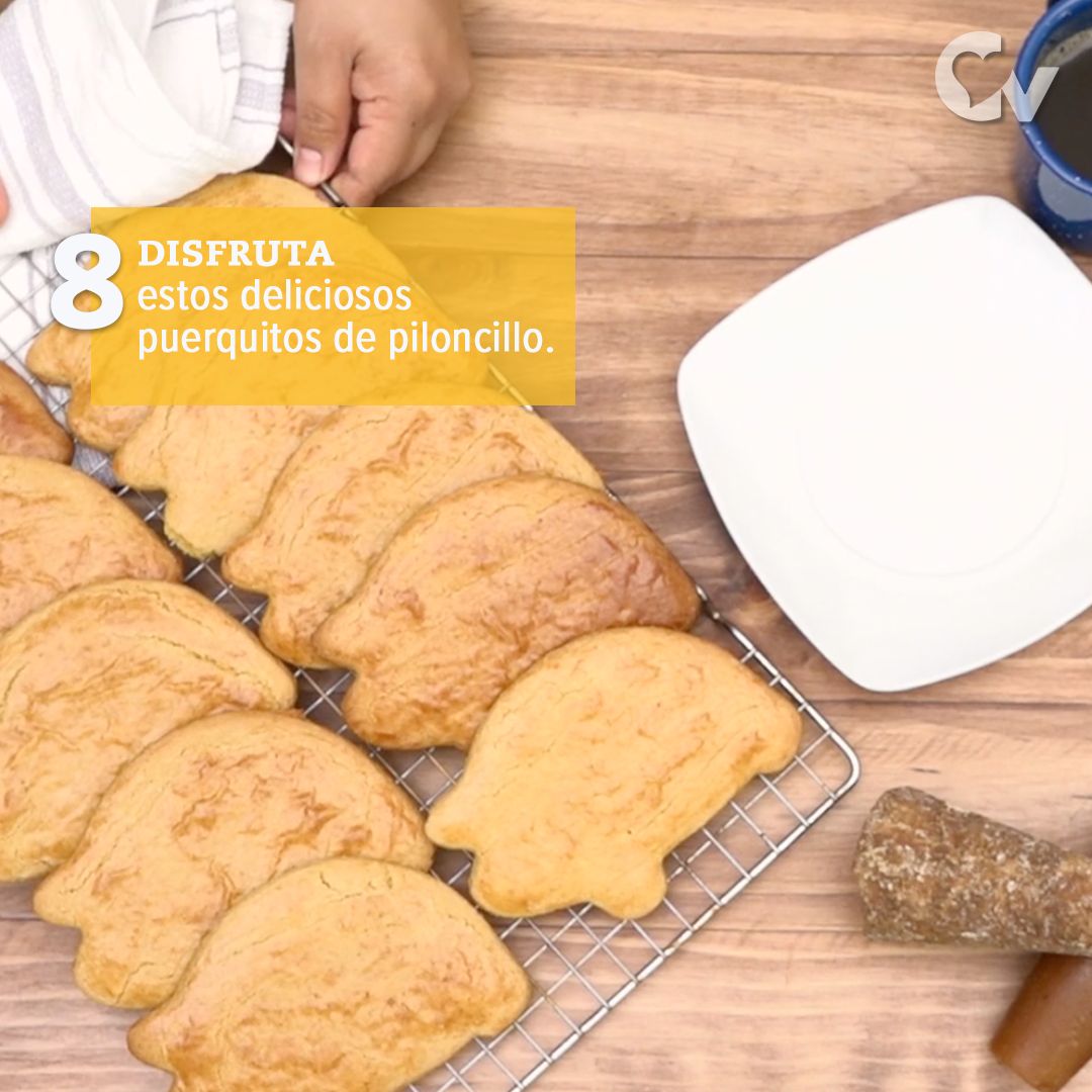 Disfruta de estos puerquitos