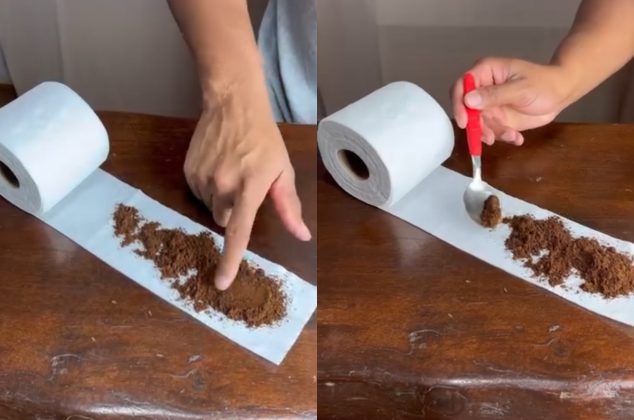 ¿Por qué deberías agregar canela al papel higiénico? ¡Conoce los beneficios!