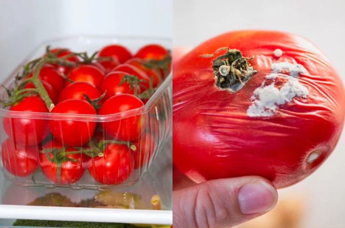 cómo almacenar correctamente los tomates