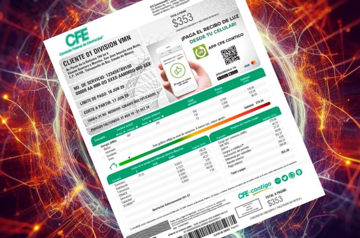 pagos en los recibos de la luz en noviembre