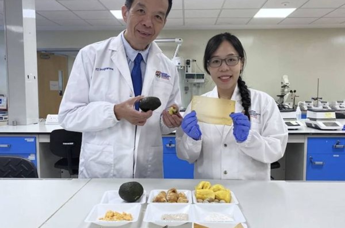 Vale señalar que este nuevo sustituto del papel aluminio está elaborado a partir de compuestos naturales extraídos de las semillas de aguacate: catequina, ácido clorogénico y pigmento de perseorangina. Foto: Cocina Vital