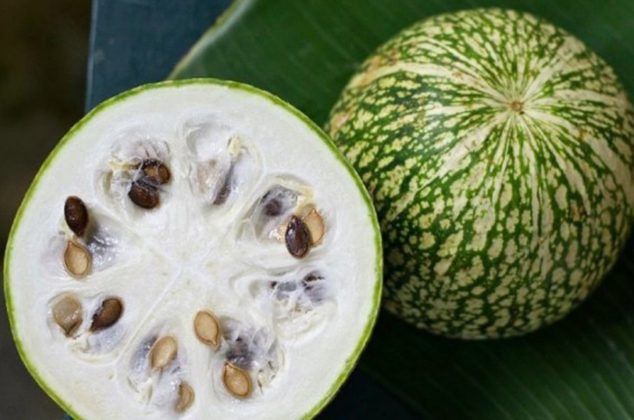 Beneficios del chilacayote, más recetas fáciles y deliciosas