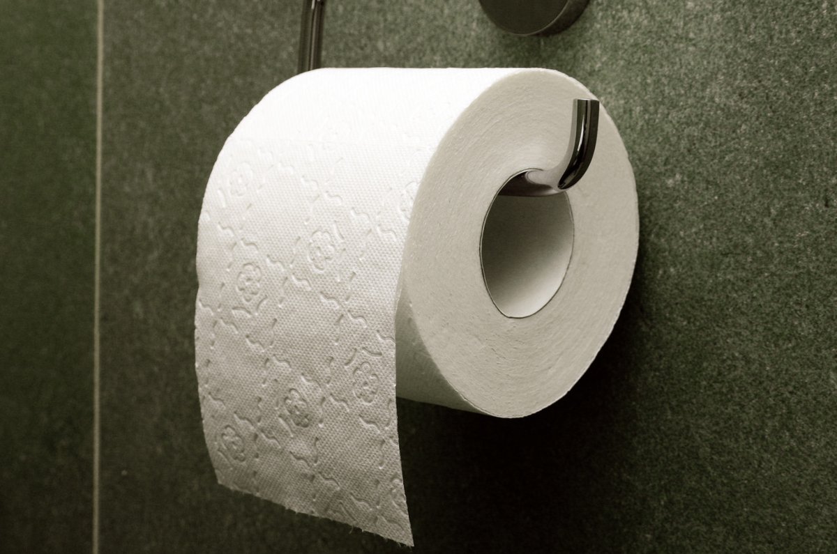 El papel higiénico está hecho de fibras de celulosa que provienen directamente de los árboles o papel reciclado.