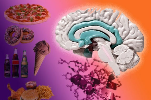 ¡Evita comerlos diario! Los 3 alimentos que destruyen tu cerebro, según Harvard