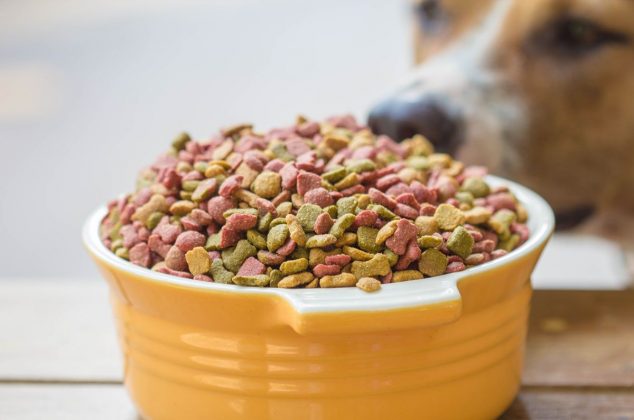 Casi nadie las compra, pero estas son las mejores croquetas para perro según Profeco