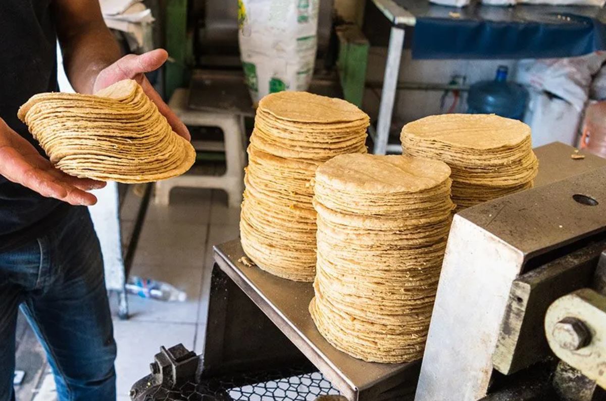Las mejores tortillerías de México y tienen los precios más económicos ...