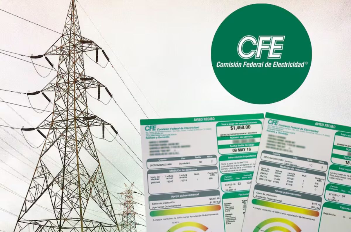 cómo cambiar nombre de propietario GRATIS en recibo de luz.