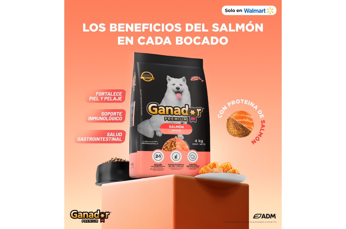 croquetas ganador nuevas