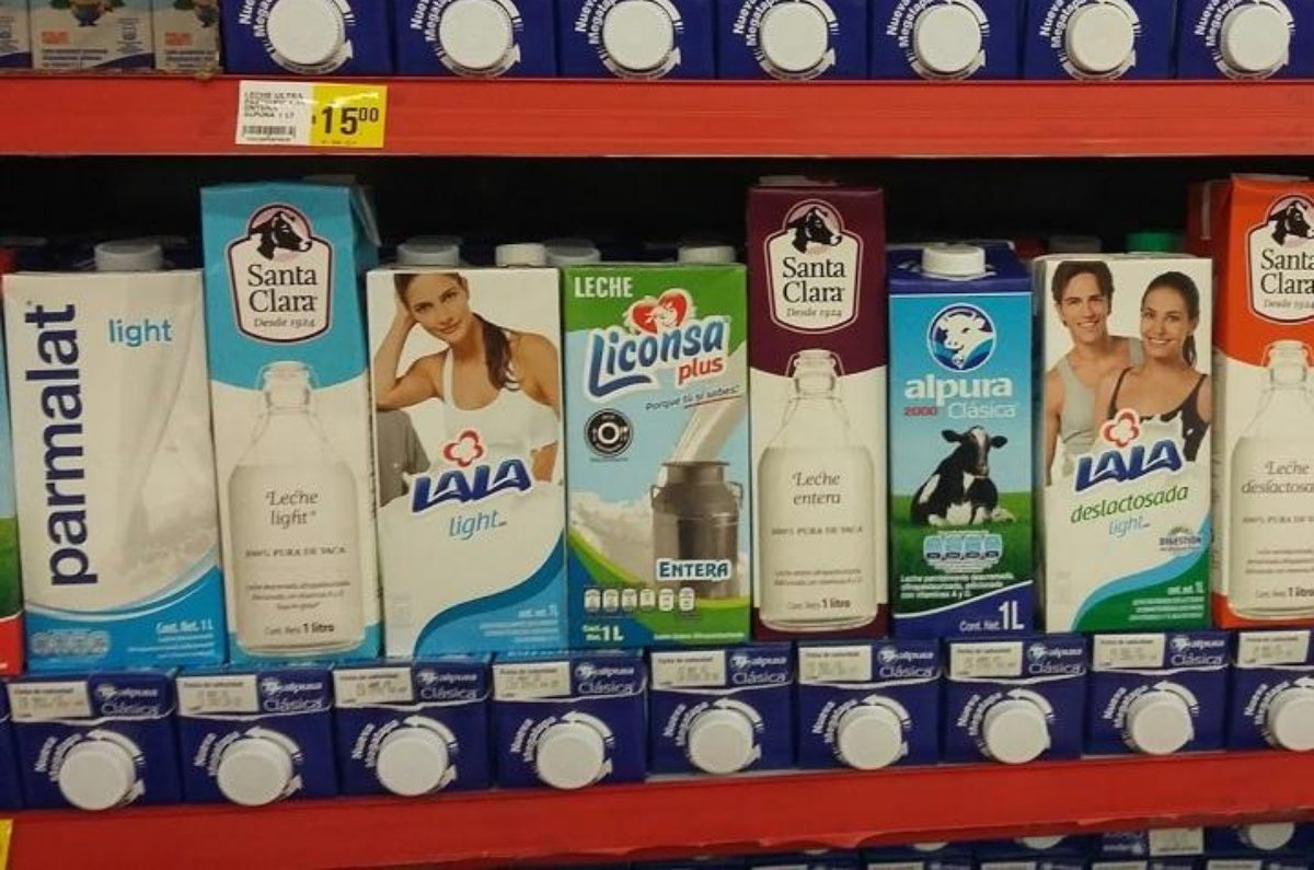 Estas son las 5 famosas marcas de leche reprobadas por Profeco y recomienda no comprar