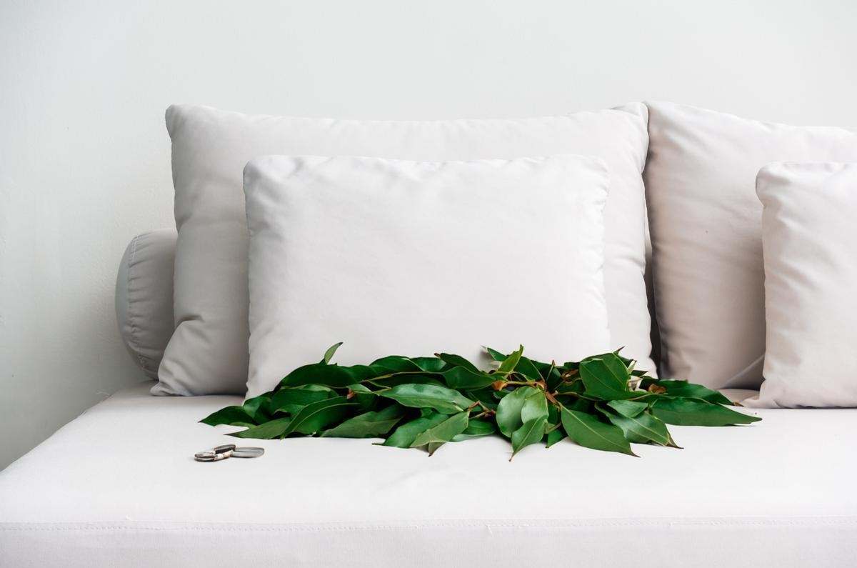 5 razones poderosas para colocar hojas de laurel en el buró de tu cama