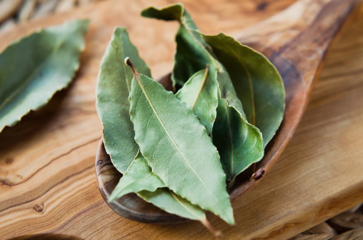 5 razones poderosas para colocar hojas de laurel en el buró de tu cama