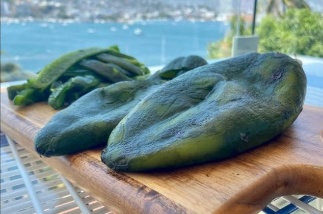 Conoce la forma correcta de asar chiles poblanos para evitar consumir microplásticos