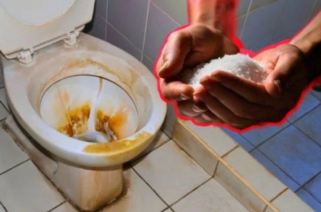 Ni bicarbonato ni vinagre: el truco secreto para eliminar el sarro del inodoro y del lavabo
