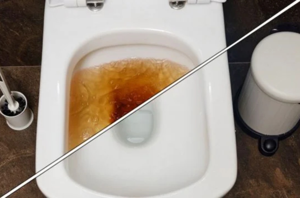 cómo eliminar el sarro del inodoro