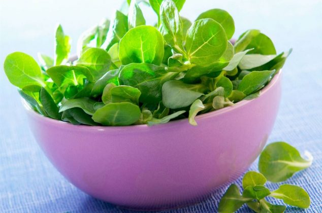 8 beneficios y propiedades de las verdolagas que no conocías