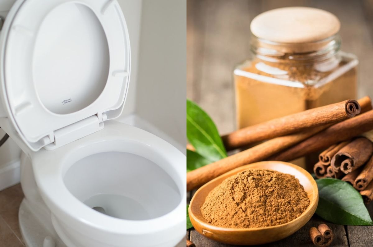 Cómo eliminar el olor a pipí del baño