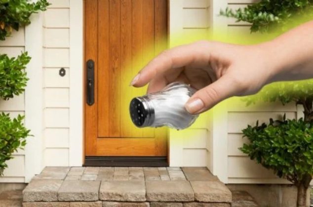 Por esta razón muchas personas están poniendo un puño de sal en la entrada de la casa