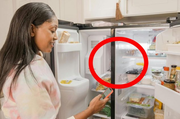 Este es el pequeño botón del refrigerador que puede ahorrarte mucho en el recibo de luz