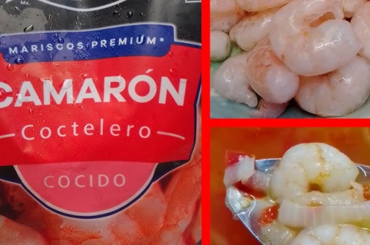 camarones del 3b calidad y evaluación