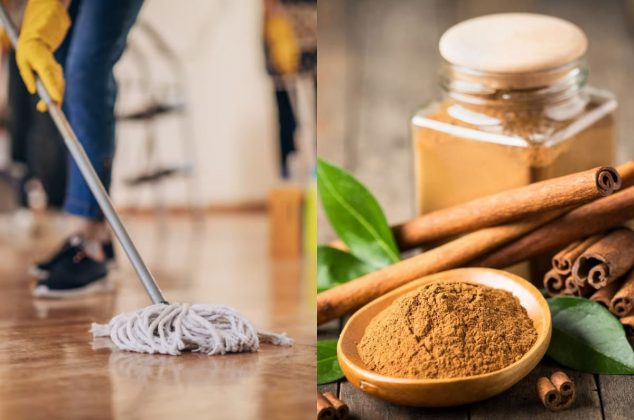 Cómo limpiar tu casa con canela: el secreto para atraer buenas energías