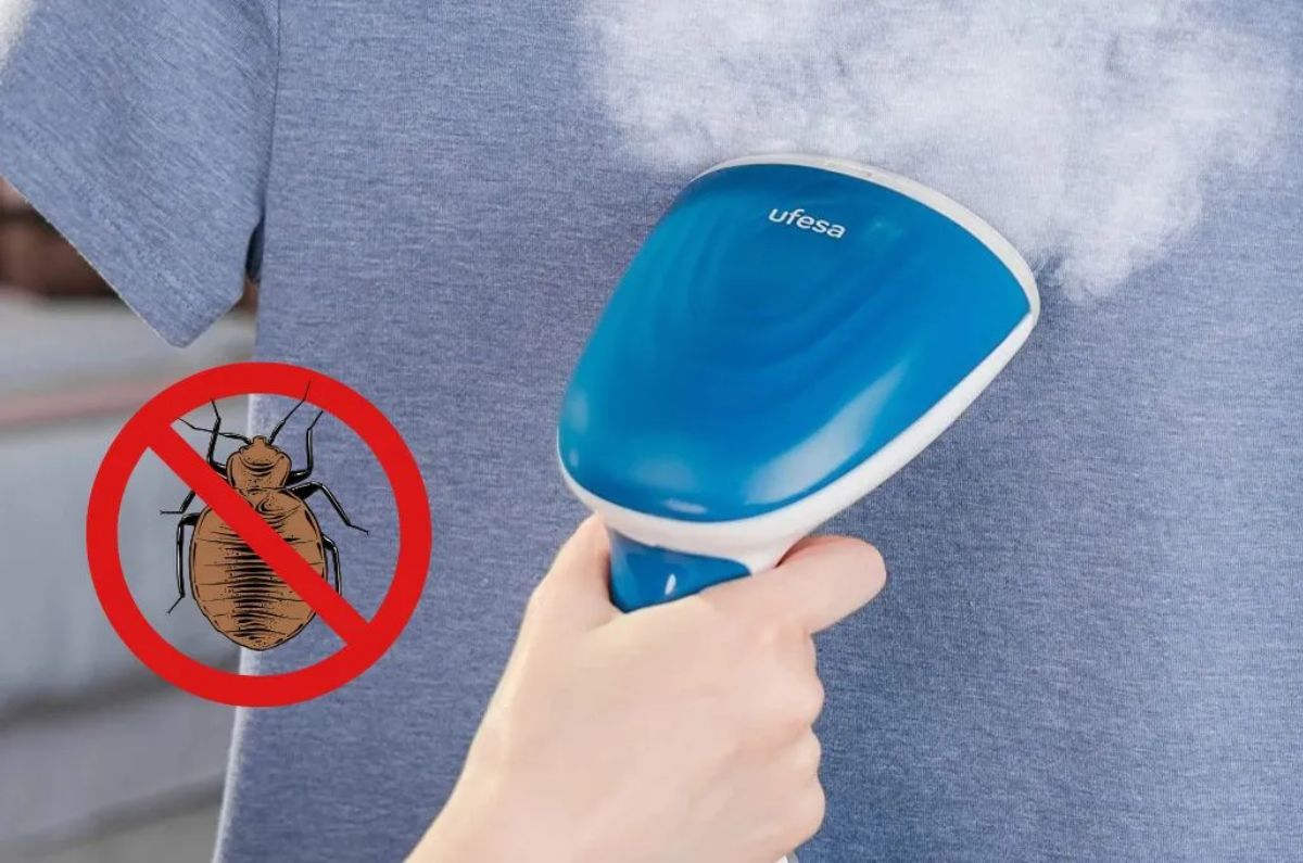 Es en esos puntos en donde se debe utilizar la plancha, arrojando vapor por varios minutos para que con el calor las chinches se mueran.