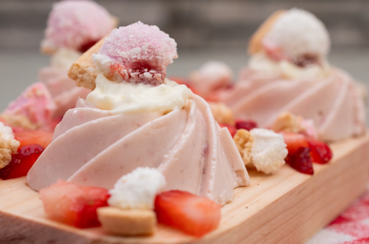 gelatina galletas sponch