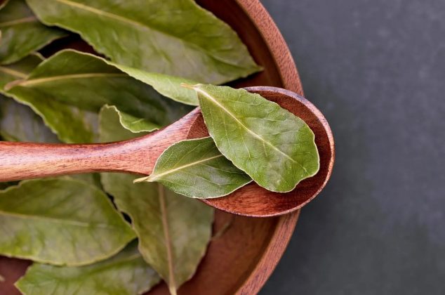 La razón por la que deberías dejar una hoja de laurel atrás de la puerta