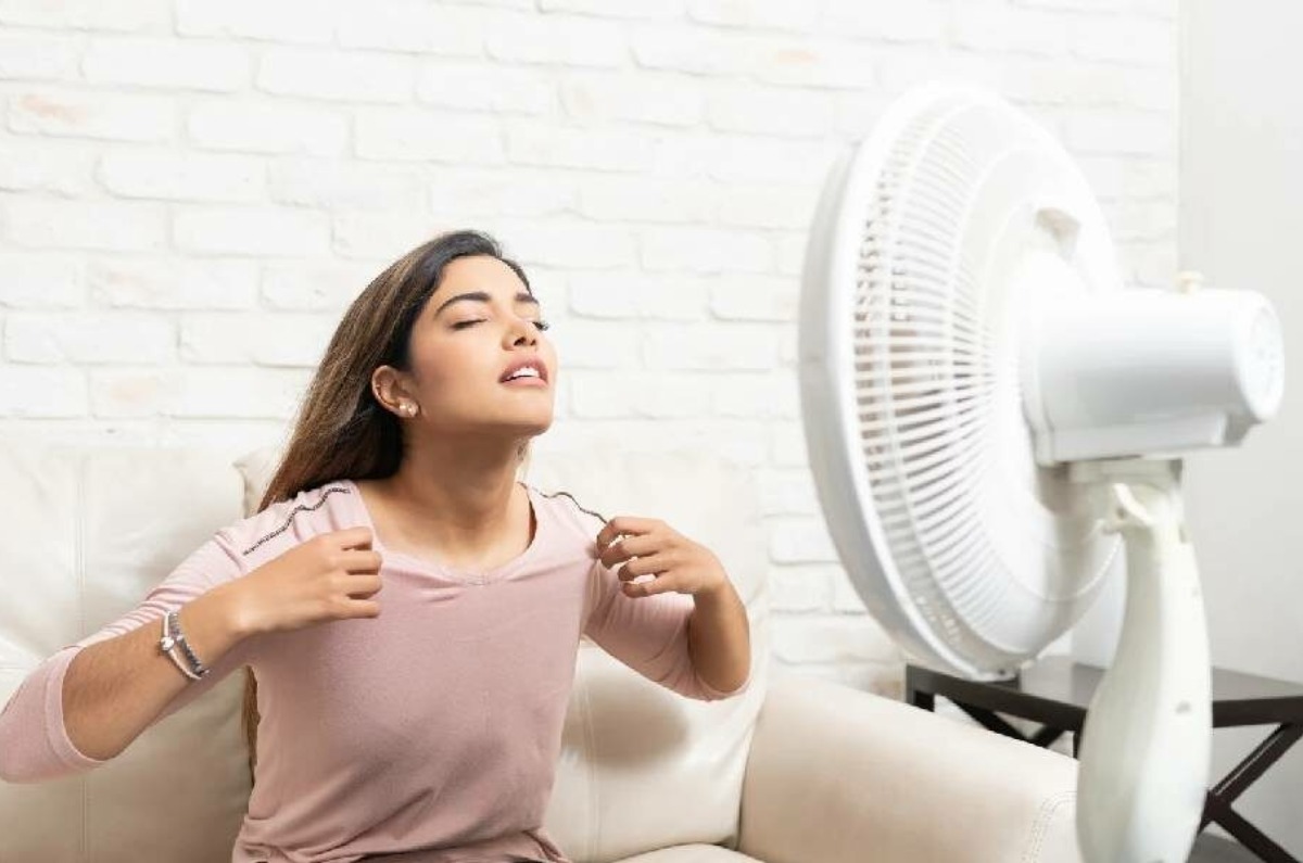 mejores ventiladores profeco