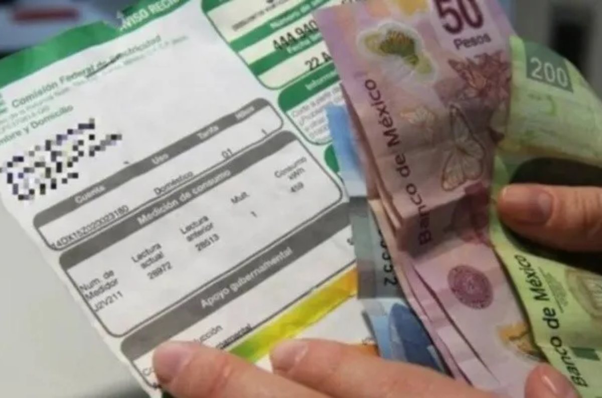 pago del recibo de luz de la cfe
