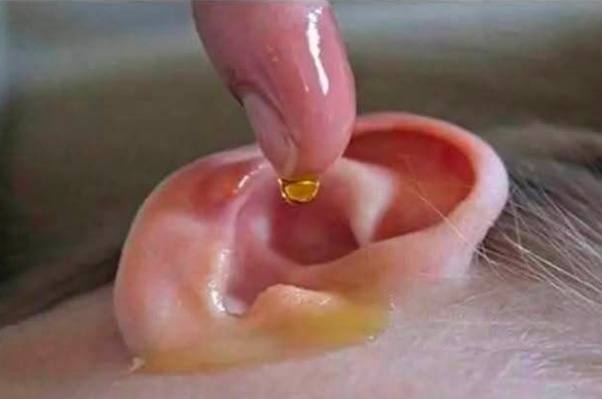 remedio para recuperar audición