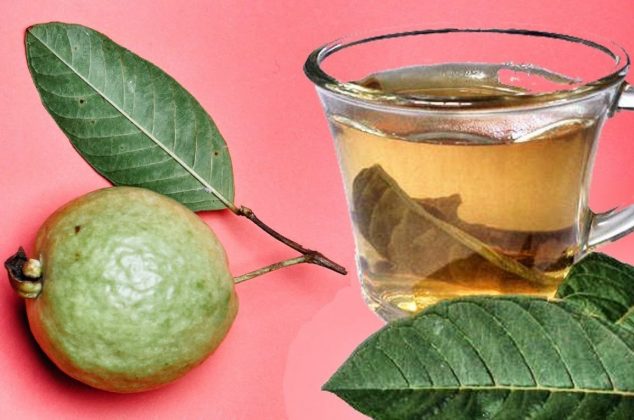 Para qué sirven las hojas de guayaba: propiedades, beneficios y cómo prepararla para mejorar tu salud