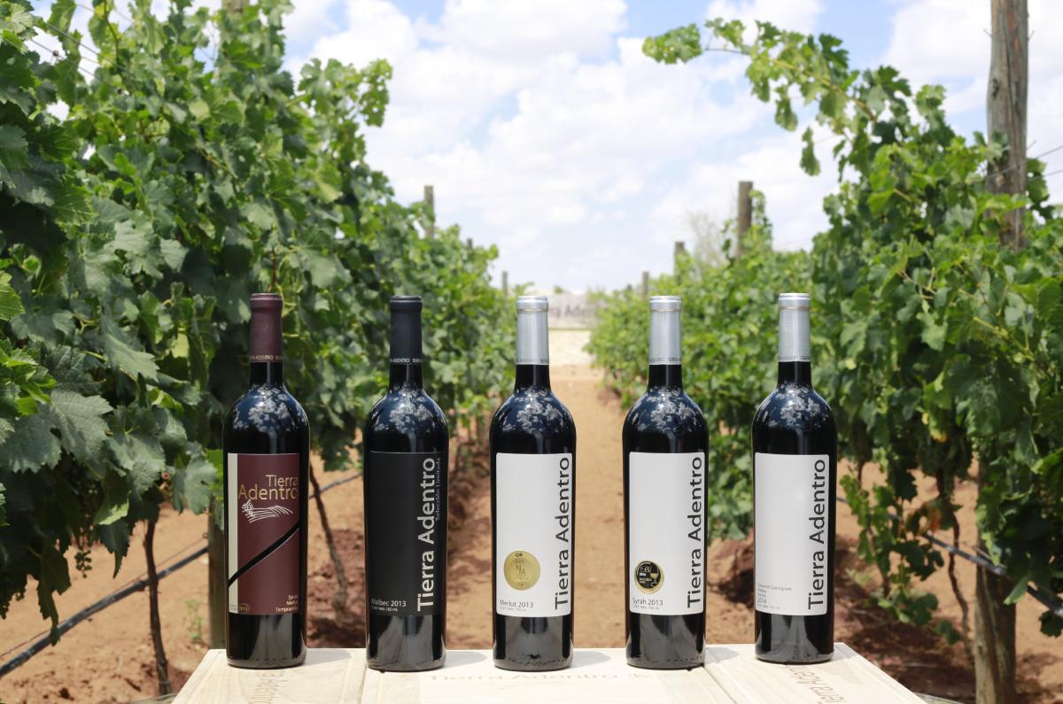 vinos de zacatecas