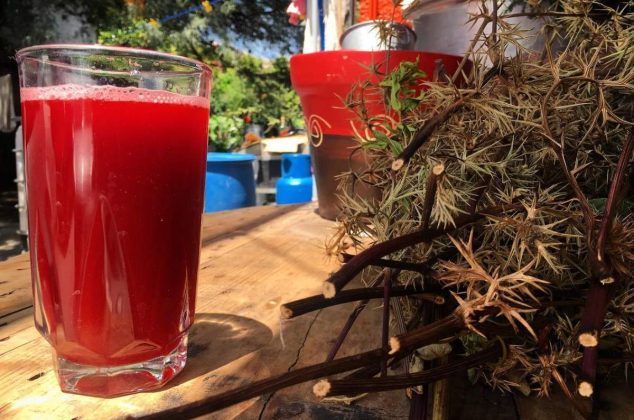 ¡Adiós calor! Las bebidas más tradicionales y deliciosas de Zacatecas