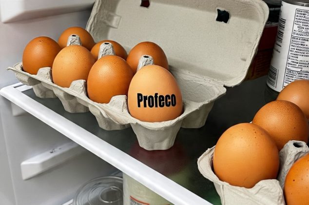Estos son métodos efectivos para conservar los huevos frescos según Profeco