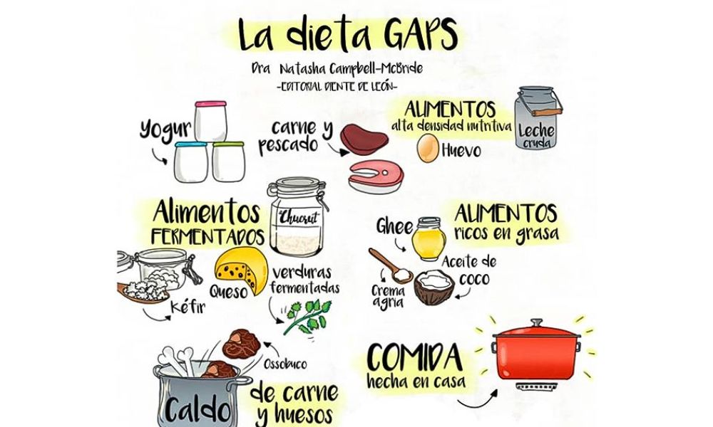 Dieta GAPS fases