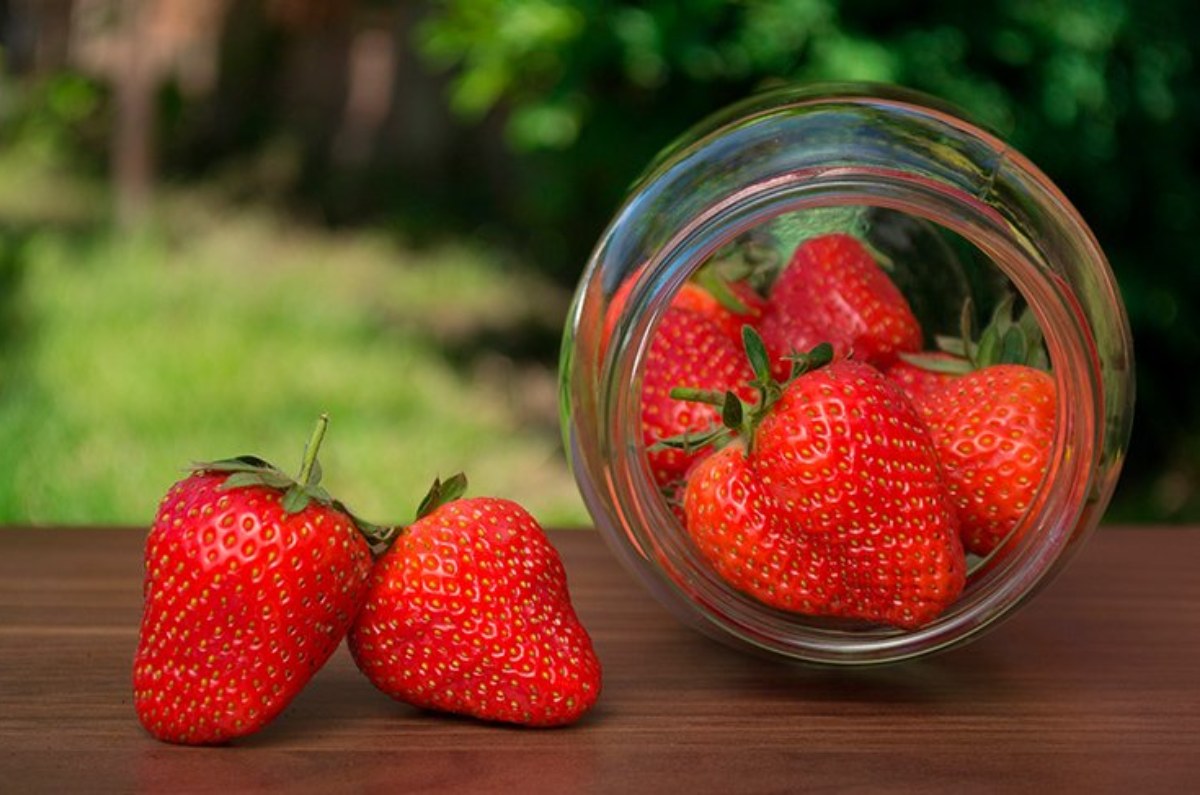 dónde guardar las fresas