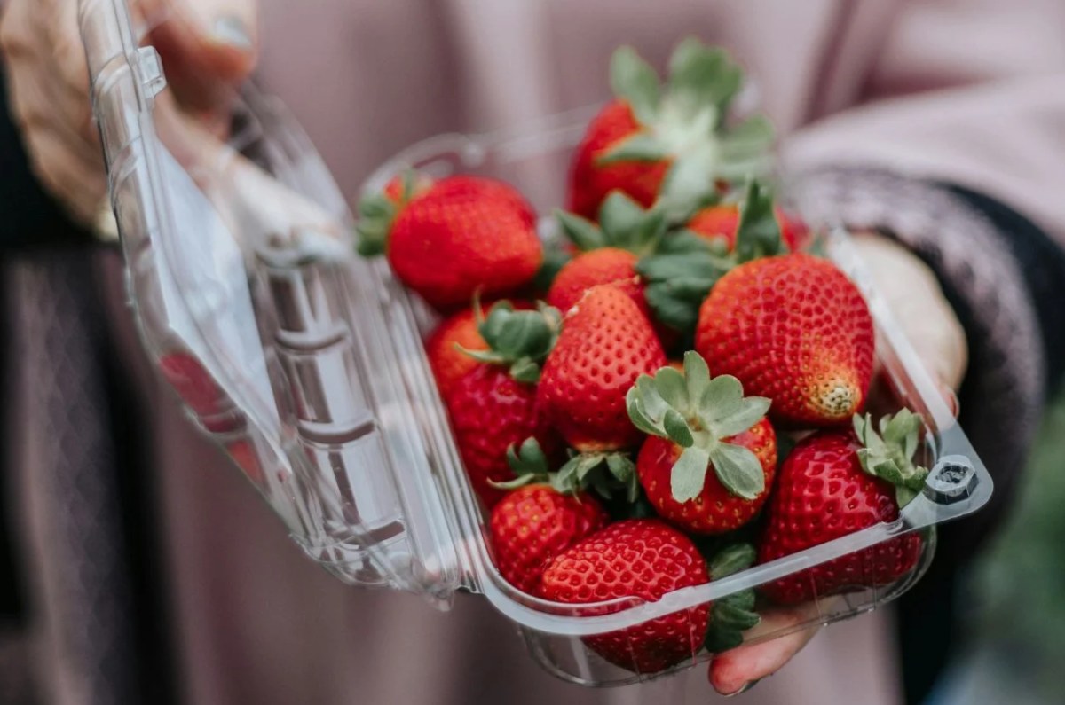 el lugar ideal para guardar las fresas y evitar que se pudran